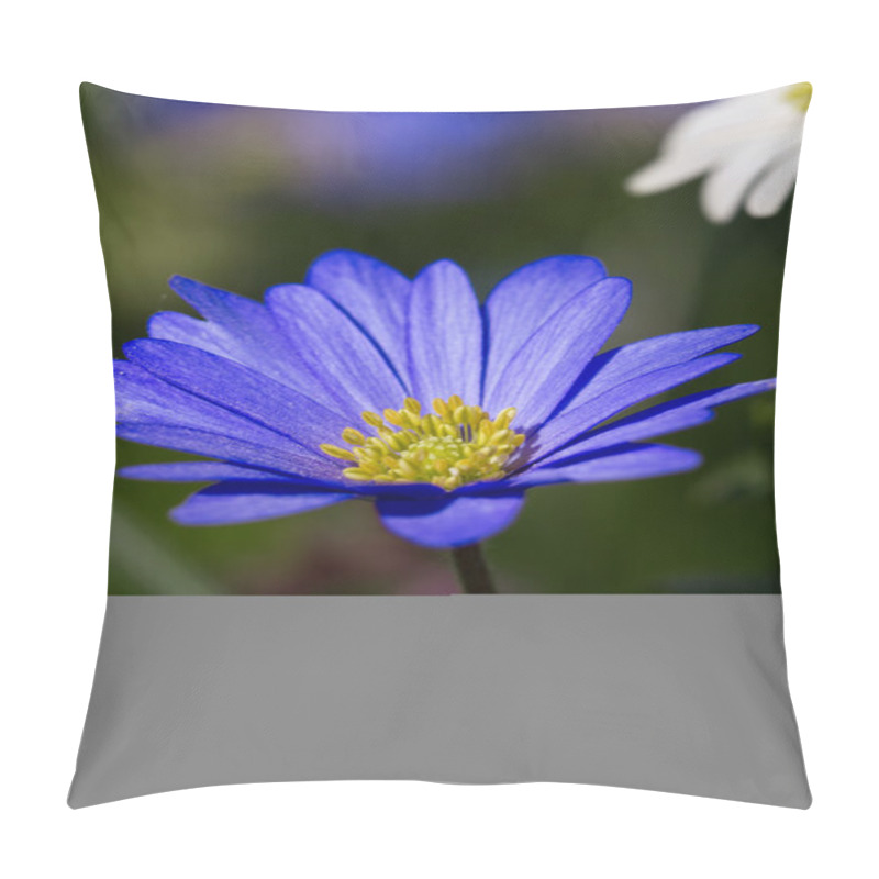 Personality  Beautiful Blue Anemone Blanda Pillow Covers