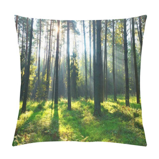 Personality  Autumn Morning In The Forest Pillow Covers