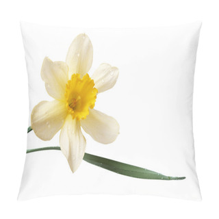 Personality  Daffodil Pillow Covers