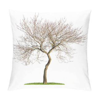 Personality  Isolated Almond Tree In The Winter Pillow Covers