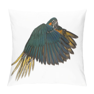 Personality  Blue-throated Macaw, Ara Glaucogularis, 4 Months Old, Flying In  Pillow Covers