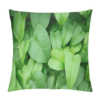 Personality  Pink Flower Ivy (Antigonon Leptopus Hook). Beautiful Bouquets Mexican Creeper On Blurred Nature Background. Green Heart Shape Leaf Of Love Spring And Summer Season, Romance Decorations Wallpaper Pillow Covers