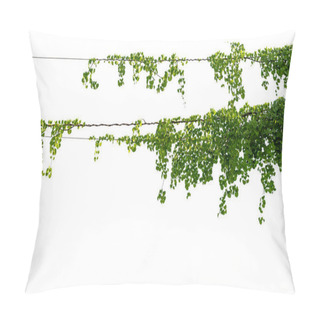 Personality  Vine On A Pole On A White Background Pillow Covers
