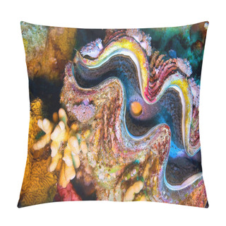 Personality  Giat Clamb, Tridacna Maxima, Coral Reef, Red Sea, Egypt, Africa Pillow Covers