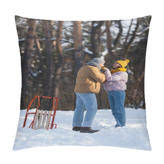 Personality  Cheerful Couple In Gloves Holding Hands Near Sled In Winter Park  Pillow Covers