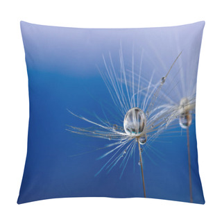 Personality  Nature In Detail, Dandelion Flower Seed Close Up With Dewdrops With A Cloudy Sky As Background With Copy Space Pillow Covers