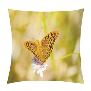 Personality  Brown Butterfly Pollinating A Flower On Springtime Pillow Covers