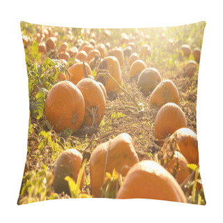 Personality  Pumpkin Patch Outdoors In Autumn Pillow Covers