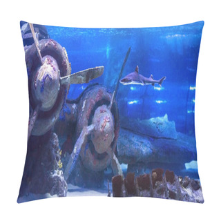 Personality  Sunken Plane Under Water In Antalya Aquarium Of Turkey Pillow Covers