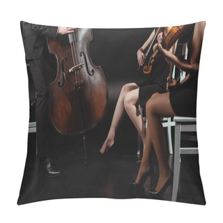 Personality  Cropped View Of Professional Musicians Playing On Violins And Contrabass On Dark Stage Pillow Covers