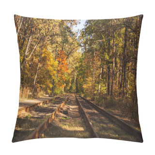 Personality  Railway In Scenic Autumnal Forest With Golden Foliage In Sunlight Pillow Covers