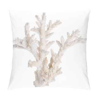 Personality  Light Coral Isolated On White Background Pillow Covers