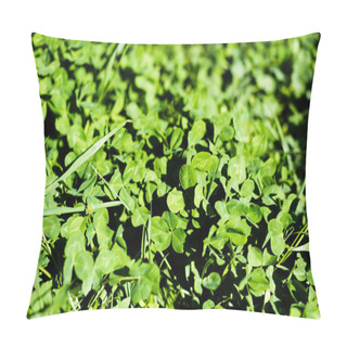 Personality  Green Clover Leaves On Summer Meadow Pillow Covers