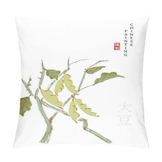Personality  Watercolor Chinese Ink Paint Art Illustration Nature Plant From The Book Of Songs Soya Bean. Translation For The Chinese Word : Plant And Soya Bean Pillow Covers