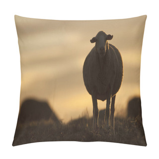 Personality  Sheep Eating At Sunset, Backlight Pillow Covers