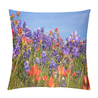 Personality  Wildflowers In Texas Hill Country - Bluebonnet And Indian Paintb Pillow Covers