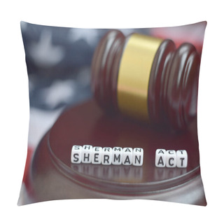 Personality  Justice Mallet And Sherman Act Characters Close Up With US Flag On Background Pillow Covers