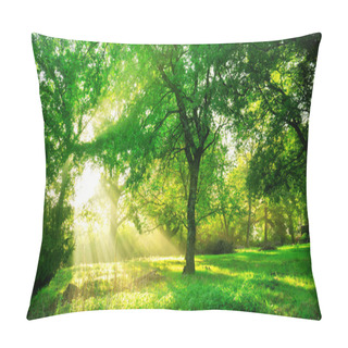 Personality  Green Forest Background With Morning Sunrise In Spring Season. Nature Landscape. Pillow Covers
