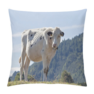 Personality  A White Cow Pillow Covers