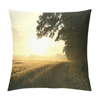 Personality  Dirt Road At Dawn Pillow Covers