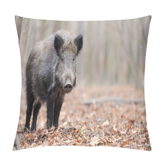 Personality  Wild Boar Pillow Covers