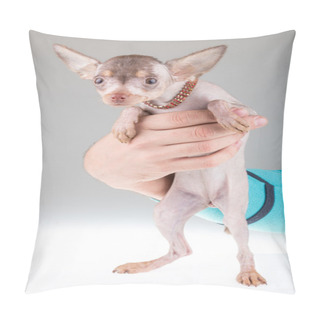 Personality  Chinese Crested Dog Pillow Covers