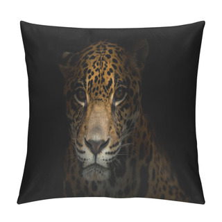 Personality  Jaguar ( Panthera Onca ) In The Dark Pillow Covers