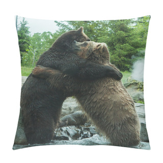 Personality  Two Grizzly (Brown) Bears Fight Pillow Covers
