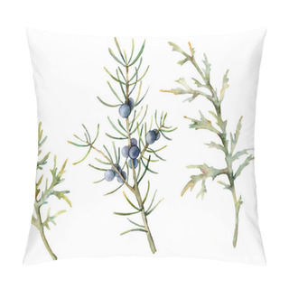 Personality  Watercolor Juniper Branches And Needles Set. Hand Painted Evergreen Branch With Blue Berries Isolated On White Background. Floral Illustration For Design, Print, Fabric Or Background. Botanical Set. Pillow Covers
