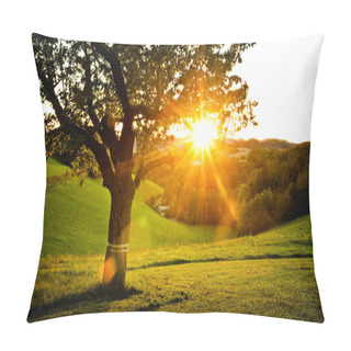 Personality  Sunset In The Country Pillow Covers