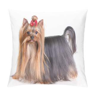 Personality  Yorkshire Terrier Pillow Covers