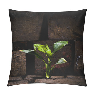 Personality  Plant Growing Trough Dead Ground Pillow Covers
