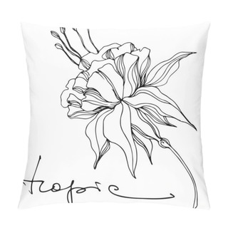 Personality  Vector Tropical Floral Botanical Flower. Black And White Engraved Ink Art. Isolated Flowers Illustration Element. Pillow Covers