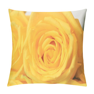 Personality  Solemn Bouquet Of Flowers For Beautiful Ladies, Bunch Of Roses Pillow Covers