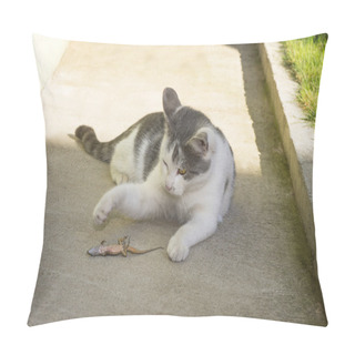 Personality  Cat Is Playing With Lizard Pillow Covers