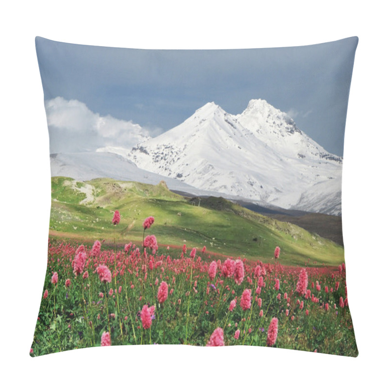Personality  Mountains Of The Caucasus Pillow Covers