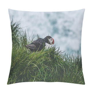 Personality  Atlantic Puffin Pillow Covers