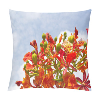 Personality  Peacock Flowers  Pillow Covers
