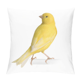 Personality  Yellow Canary - Serinus Canaria On Its Perch Pillow Covers