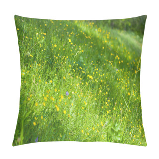 Personality  Wildflowers And Wild Native Herbs On A Green Meadow. Meadow In Bloom Pillow Covers