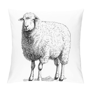 Personality  Farm Sheep Sketch Hand Drawn Side View Farming Vector Illustration Pillow Covers