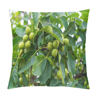 Personality  A Majestic Tree With Abundant Foliage. A Tree Filled With Lots Of Green Leaves Pillow Covers