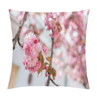 Personality  Close Up Of Blooming Flowers On Branches Of Cherry Tree  Pillow Covers