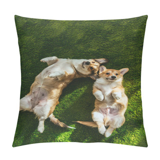 Personality  Top View Of Two Adorable Welsh Corgi Dogs Laying On Green Lawn Pillow Covers