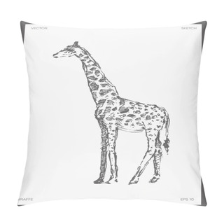 Personality  High Detail Drawn Vector Giraffe Realistic Sketch Pillow Covers