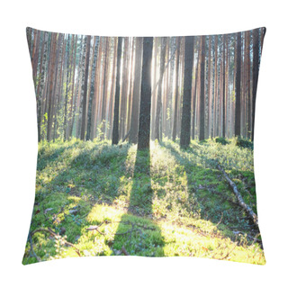 Personality  Sunrise In Pine Forest Pillow Covers