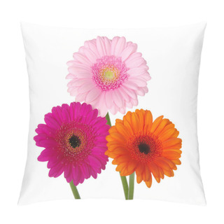 Personality  Gerbera Daisies  Pillow Covers