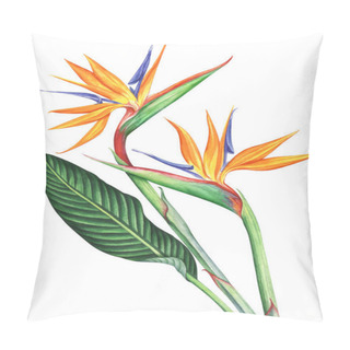Personality  Watercolor Bird Of Paradise Flowers Isolated On White Background. Pillow Covers