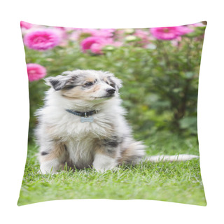 Personality  Beautiful Small Shetland Sheepdog Sheltie Puppy With Flowers On The Background. Photo Taken On A Warm Summer Day. Pillow Covers