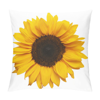 Personality  Sun Flower Pillow Covers